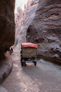 Horse Carriage in the Syd petra jordan