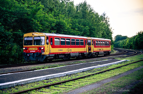 train pulling into the Mad Train Station Hungary