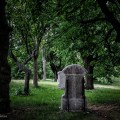 row of tombstones station of the cross rural slovakia