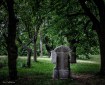 row of tombstones station of the cross rural slovakia