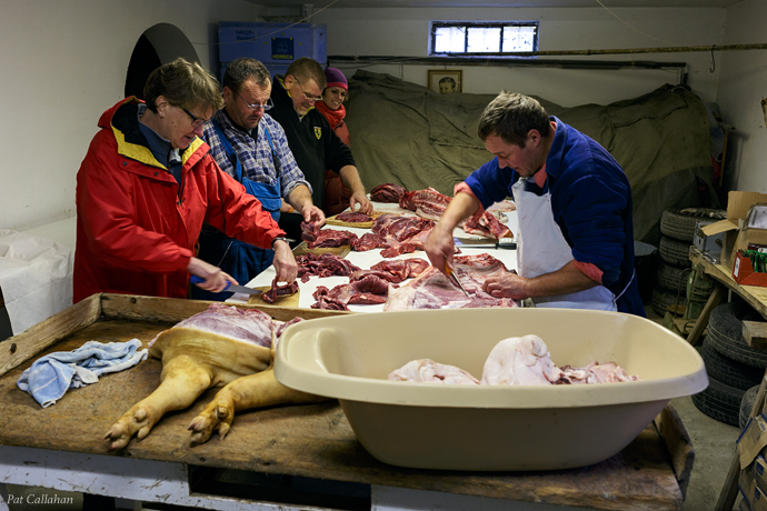 We cut to Dini's guidance