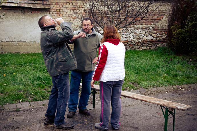 drinking shots of palinka at a Hungarian pig killigso f 