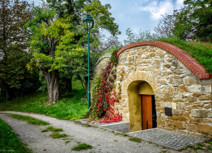 And the one we selected