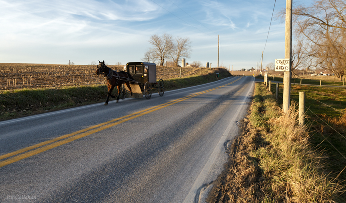 love the hand painted "crafts" sign