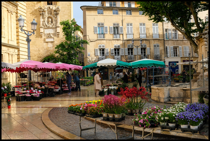 Aix-en-Provence Flower Market