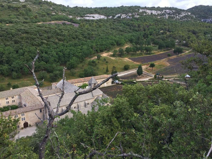 First glimpse of Senanque