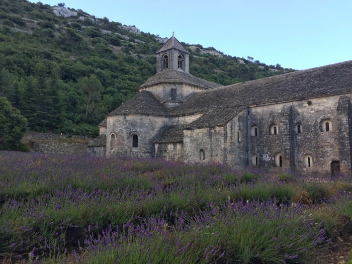 Side shot abbey.jpeg